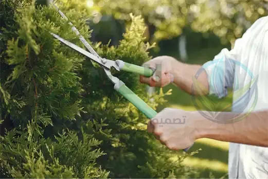 قص الأشجار وتكريب النخيل